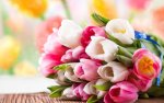 8 марта - Международный женский день